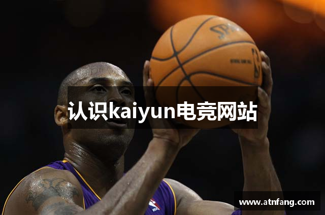 认识kaiyun电竞网站