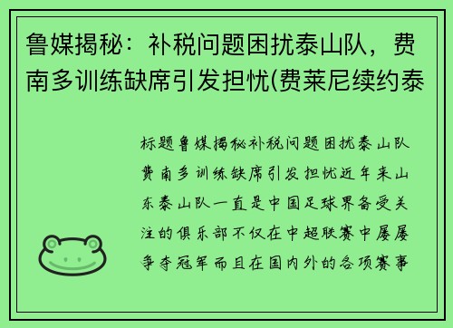 鲁媒揭秘：补税问题困扰泰山队，费南多训练缺席引发担忧(费莱尼续约泰山)