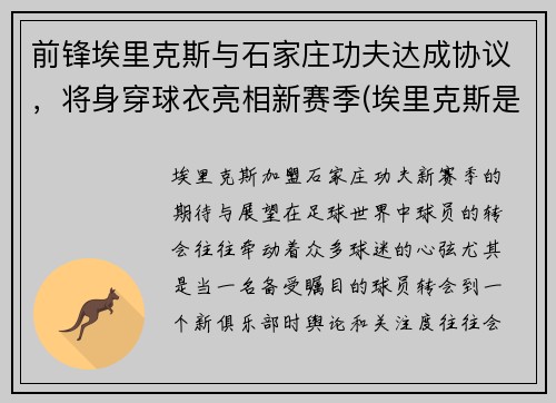前锋埃里克斯与石家庄功夫达成协议，将身穿球衣亮相新赛季(埃里克斯是什么意思)