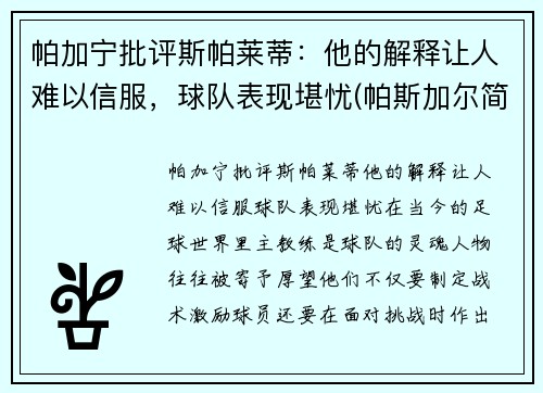 帕加宁批评斯帕莱蒂：他的解释让人难以信服，球队表现堪忧(帕斯加尔简介)