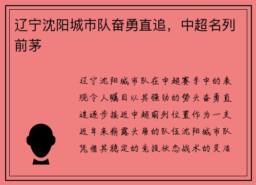 辽宁沈阳城市队奋勇直追，中超名列前茅