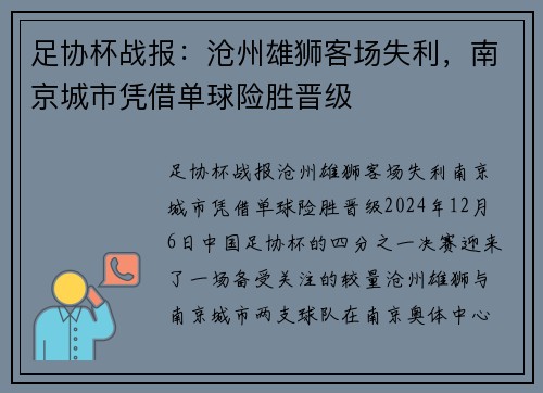 足协杯战报：沧州雄狮客场失利，南京城市凭借单球险胜晋级
